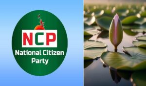 শাপলা নয় ইসির প্রতীক তালিকায় যুক্ত হলো ‘শাপলা কলি’