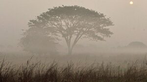 শীত নামবে কবে, জানাল আবহাওয়া অফিস
