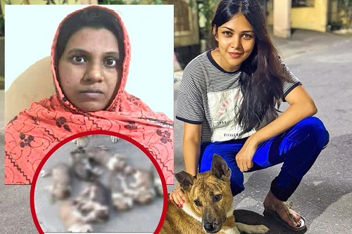 প্রাণী নির্যাতন রুখতে সচেতনতার বার্তা দিলেন পিয়া জান্নাতুল