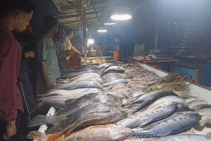 সমুদ্রের ঢেউ আর পোড়া মাছের ঘ্রাণে প্রাণবন্ত কুয়াকাটা