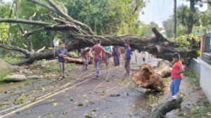 কালবৈশাখী ঝড়ে গাছ উপড়ে যান চলাচল ব্যাহত