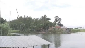 যমুনার পানি বাড়ছে, তলিয়ে যাচ্ছে নিম্নাঞ্চল