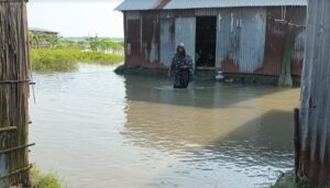 কুড়িগ্রামের ফুলবাড়ীতে বন্যার আতঙ্কে হাজারো মানুষ