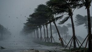 দেশের ২০ অঞ্চলে বজ্রসহ বৃষ্টির আভাস