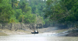 সুন্দরবন প্রবেশে ৩ মাসের নিষেধাজ্ঞা শুরু