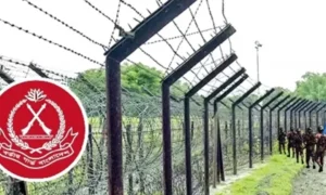 ২৪ ঘণ্টায় ৮টি পুশইন প্রতিহত, সীমান্তে কঠোর অবস্থানে বিজিবি