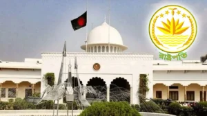 নতুন রাষ্ট্রপতি কে হবেন, শনিবার আসতে পারে বিএনপির চূড়ান্ত সিদ্ধান্ত