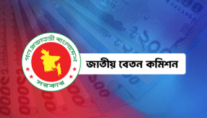পে-স্কেল ছাড়াও ১২ থেকে ২০তম গ্রেডের সরকারি চাকরিজীবীদের জন্য বড় সুখবর