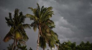 রাতে ঝড় হতে পারে যেসব জেলায়