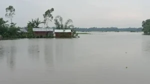 টানা বৃষ্টি ও পাহাড়ি ঢলে মৌলভীবাজারে ৪০টি গ্রাম প্লাবিত