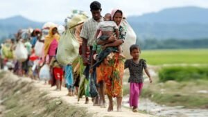 রোহিঙ্গা সংকট সমাধানে নতুন রাজনৈতিক কৌশল জরুরি: সামি হামদি
