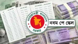 কার পেনশন কত বাড়বে