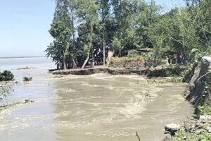 যমুনার ভয়াবহ ভাঙনে তিন মাসে বিলীন বসতভিটা-ফসলি জমি