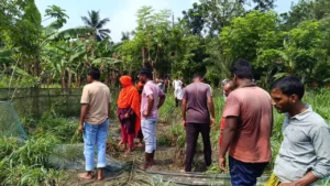 ঝিনাইদহে বিদ্যুতের তার চুরি করতে গিয়ে যুবকের মৃত্যু