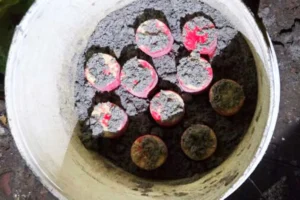 যাত্রাবাড়ীতে পরিত্যক্ত অবস্থায় ১০ ককটেল উদ্ধার